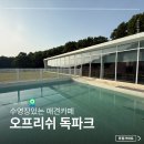 파주 애견카페 오프리쉬 독파크 소형견 수영장 찐후기