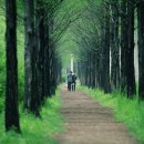 아름다운 동행 이미지