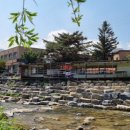 진고개식당 이미지