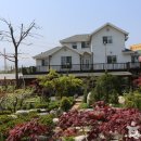 연어의고향 이미지