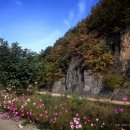 덕우민박 이미지