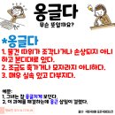 옹글다 이미지