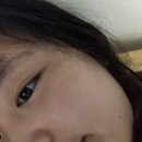 미샤영주점 | 나의 피부 꿀템들 찐 추천🍯