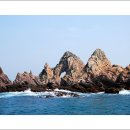 홍도