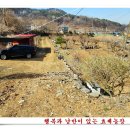 효세농장 이미지