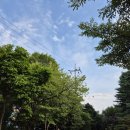 물안개피는 들꽃나루 | 남양주 물의정원 풍경길, 전철로 50분 거리라 더 좋은 시니어 뚜벅이 여행지