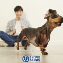 따라 애견학교 이미지