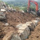 성희농장 이미지