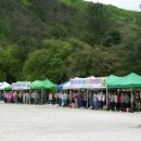 치악산산나물축제 Daum카페