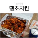 멕시카나 땡초치킨 순살 제 추천 메뉴입니다bb