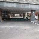 썬펠리스 이미지