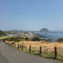 산이 있는 풍경 | 제주 송악산 산일까 오름일까 둘레길 풍경 직접 다녀온 후기