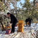 충주시청 이미지