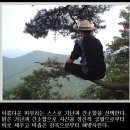수향