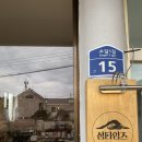 써니타임즈 네이버블로그