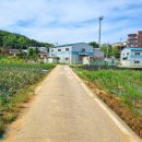당하1리 네이버블로그