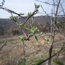 하늘농장4 이미지