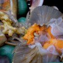 동해진미 이미지