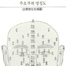 관상의 원리와 적용 이미지