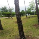 백학동 공원 이미지