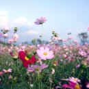 반딧불이생태공원 화장실 이미지