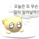 매머드익스프레스대전DCC점