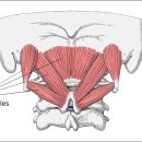 천세봉한의원 이미지