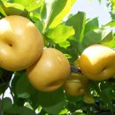 옥천당구장 이미지