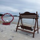 조개체험장  대죽 이미지