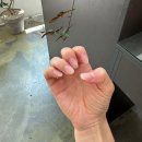 라이크니니 | 군산 네일샵 수송동 라이크네일