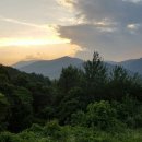 마당쇠 이미지