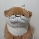 아이마트안경콘택트(마포점) | 으뜸50안경 홍대 1호점_야간 빛 번짐 안경.라섹 안경_홍대 안경