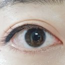 엠시피 이미지