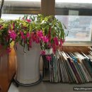 서서학동 주민센터 이미지