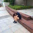베토벤의 주막집 | 6개월 일기 휘몰아치기 🙄