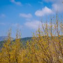 원달보건진료소 이미지