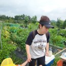 한마음 한뜻 농장 이미지