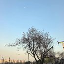 고사리곡 | 스포티파이 X BTS 크루즈 이벤트 《Spotify x BTS SWIMSIDE》 방문 후기