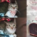 남경북약국 이미지