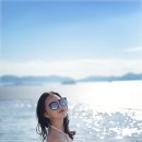 슈가브리움 이미지