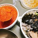서현 속초 종합 어시장 모듬 물회 포장 후기 시원 푸짐한 서현 물회