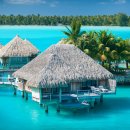 위드미 온천트레비앙점 | 타히티 | 더 세인트 레지스 보라보라 | The St. Regis Bora Bora Resort