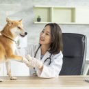 라온 반려 동물병원 이미지