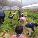 상곡농장 이미지