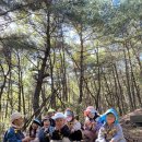 (주)나무새