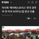 제이에스초이스