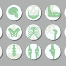 원종역마디튼튼의원 이미지