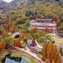 월아산 우드랜드 이미지