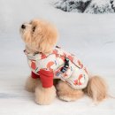 멋내는 강아지 이미지