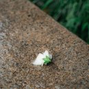 삼청동비 이미지